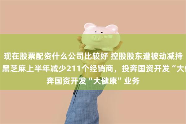 现在股票配资什么公司比较好 控股股东遭被动减持320万股，黑芝麻上半年减少211个经销商，投奔国资开发“大健康”业务